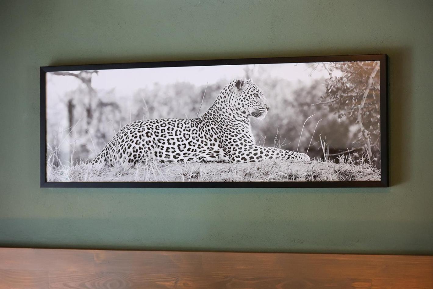 Tomo Safari Lodge Hoedspruit Habitación foto